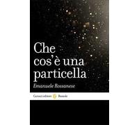 Che cos'è una particella
