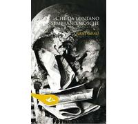 Che da lontano sembrano mosche