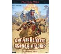 Che Fine Ha Fatto Osama Bin Laden