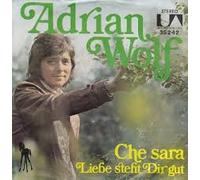 Che Sara (Was Wird Sein) / Liebe Steht Dir Gut / 35 242