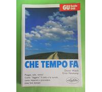 Che tempo fa. Ediz. illustrata