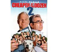 Cheaper by the Dozen 2