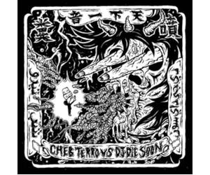 cheb terro & dj die soon-cheb terro vs.