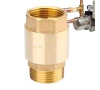Check Valve - Sostituzione adattatore Preventer a riflusso in | Controllo in