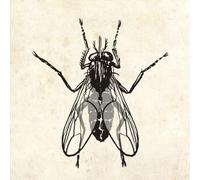 Checker, Chubby - Fly