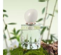 CHEERFLOR - Twilight Blossom Haze Series Perfume Limited Edition - 4 Flavors CFR1179 Cedar Forest - 50ml