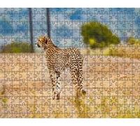 Cheetah - Puzzle da 6000 pezzi per adulti, gioco di abilità perfetto per il rilassamento, la meditazione e l'educazione.
