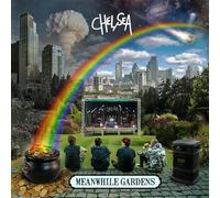 meanwhile gardens (blue vinyl)