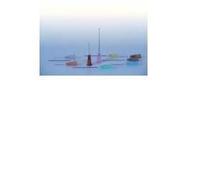 CHEMIL Srl AGO IPODERMICO STERILE 21GX1 0,8X25