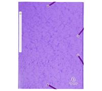 Chemise a elastiques maxi capacity carte lustree 425gm nature future - a4