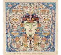 Chemistry Experiment - Gongs Played By Voice