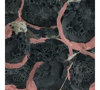 Chenaux,Eric - Say Laura