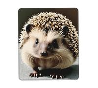 chenfandi Simpatico tappetino per mouse con riccio, con base in gomma antiscivolo per ufficio, gioco, apprendimento, 20 x 24 cm.