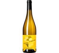 Chenin de Traverse 2024 - Domaine de Rocheville Saumur
