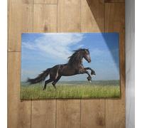 Chenlane Zerbino Ingresso Interno Tappeto per Vasca da Bagno Antiscivolo Cavallo Esterno Lavabile Zerbini Simpatici Pulenti 50x80cm