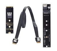 chenyang CY M.2 NVME NGFF M-Key SSD maschio a femmina cavo di prolunga 40 cm con adattatore connettore SFF-8654 per scheda madre SSD 2280/22110