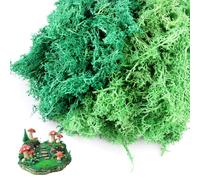 chenyu 200g Muschio Stabilizzato 2 Couleurs Muschio per Presepio Decorazione Domestica fai da Te Muschio Finto Riempimento Del Vetro per Modellismo Muschio Verde Chiaro e Verde Scuro