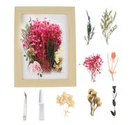 CHENYU Fiori Secchi Cornice 3d 20 x 16 cm Cornice Profonda e Fiori Secchi + Colla + Clip Adatti per Souvenir Floreali fai da te Per Il Giorno Della Laurea