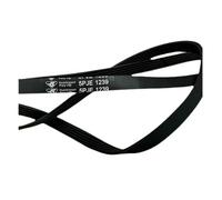 cheofaly Cinghia for Lavatrice 5PJE1239 5EPJ1239