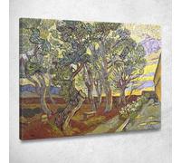 CheQuadro! Il Giardino Del Manicomio Vincent van Gogh, vvg169 quadro stampato su tela, Fine Art assemblato pronto da appendere 50x40 cm