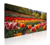 CheQuadro! Quadro lungo per ufficio, quadro orizzontale, Campo di Tulipani Colorati in Primavera, su tela, intelaiato pronto da appendere bow12-105x50 cm