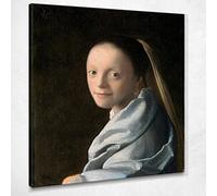 CheQuadro! Studio Di Una Giovane Donna Vermeer Jan quadro stampa su tela JV16, 50x45 cm