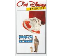 Cherie, j'ai agrandi le bebe