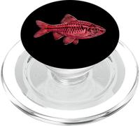 Cherry Barb Puntius titteya Acquario d'acqua dolce Fishkeeper PopSockets PopGrip per MagSafe