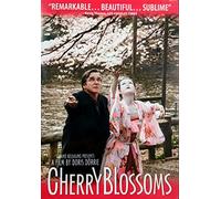 Cherry Blossoms