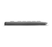 Cherry KC 1068 Keyboard Corded US-Englis Tastiera QWERTY JK-IP1068EU-2
