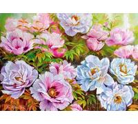 Cherry Pazzi - Puzzle Poenissimo Opus - 1000 Pezzi
