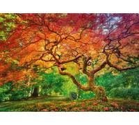 Cherry Pazzi - Puzzle Spray Arteria - 1000 Pezzi