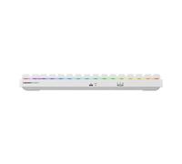 CHERRY XTRFY K33 Compact Wireless, Tastiera da Gioco Mem-Chanical Wireless, Formato 75%, Tastiera Multi-Dispositivo, Illuminazione RGB, IP54 Antipolvere e Antispruzzi, Layout PN (QWERTY), Bianco