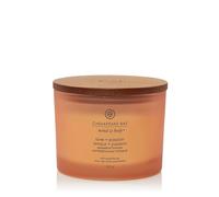 Love & Passion (Grapefruit Mango) Candele In Vetro 3 Stoppini 312 gr Chesapeake Bay Candle