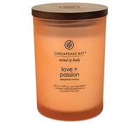 Chesapeake Bay Candle Mind & Body Collection Medium Jar Candle, Peace + Tranquility, Medium