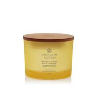 Strength & Energy (Pineapple Coconut) Candele In Vetro 3 Stoppini 312 gr Chesapeake Bay Candle