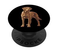 Chesapeake Bay Retriever Acquerello Art - Chessie Dog Lovers PopSockets PopGrip Adesivo