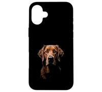 Chesapeake Bay Retriever Cane Chessie Face Nero Custodia per iPhone 16 Plus