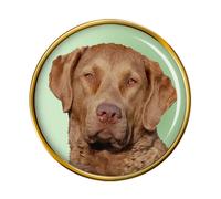 Chesapeake Bay Retriever Distintivo di Lapel Pin