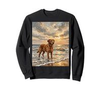 Chesapeake bay Retriever Dog at The Beach Opera d'Arte Felpa