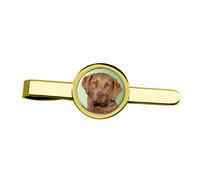 Chesapeake Bay Retriever Fermacravatta