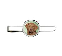 Chesapeake Bay Retriever Fermacravatta