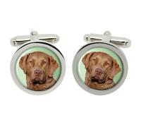 Chesapeake Bay Retriever Gemelli IN Cromo Scatola