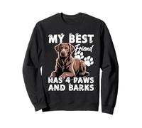 Chesapeake bay Retriever Proprietario Amico Amico Anatra Hunter Felpa