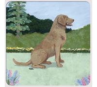 Chesapeake Bay Retriever Sottobicchieri - Set Di 4