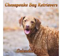 Chesapeake Bay Retrievers Calendar 2026: 12 month Organizer Jan 2026 to Dec 2026