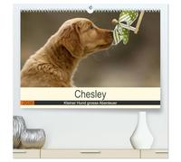 Chesley Kleiner Hund grosse Abenteuer (hochwertiger Premium Wandkalender 2026 DIN A2 quer), Kunstdruck in Hochglanz: Fröhlicher Wald und Wiesen Streifzug eines Golden Retriever Welpen