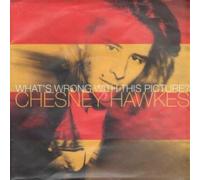 CHESNEY HAWKES - WHAT'S WRONG WITH THIS PICTURE 7 INCH (7" 45) UK CHRYSALIS 1993