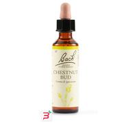 CHESTNUT BUD BACH ORIG 20 ML