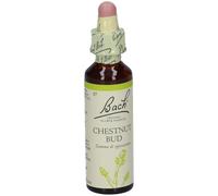 BACH 7 Chestnut Bud 20ml LKR